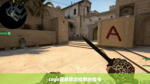 csgo回放调出控制台指令