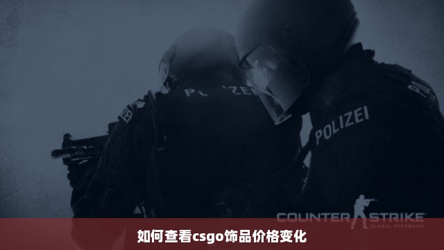 如何查看csgo饰品价格变化