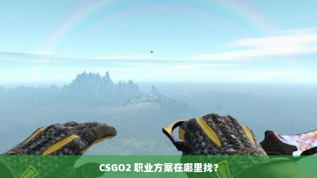 CSGO2 职业方案在哪里找？