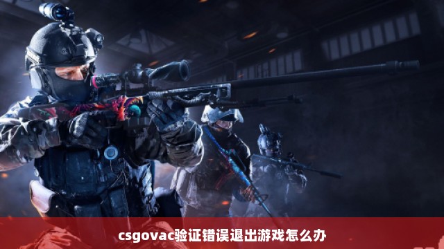 csgovac验证错误退出游戏怎么办