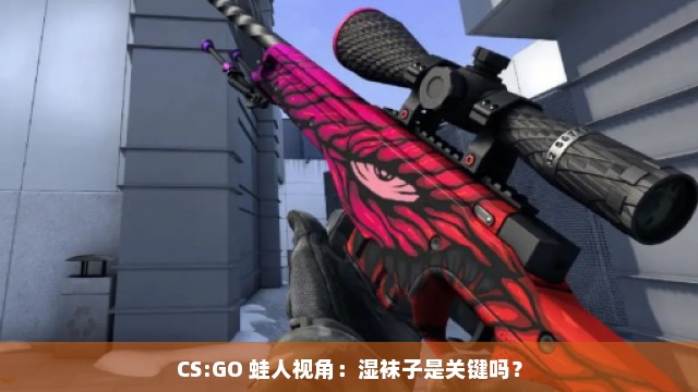 CS:GO 蛙人视角：湿袜子是关键吗？