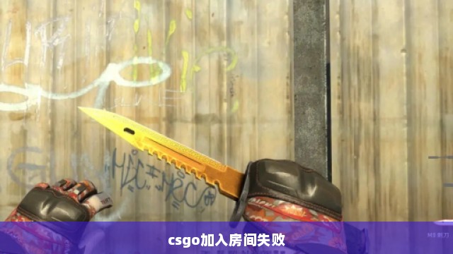 csgo加入房间失败