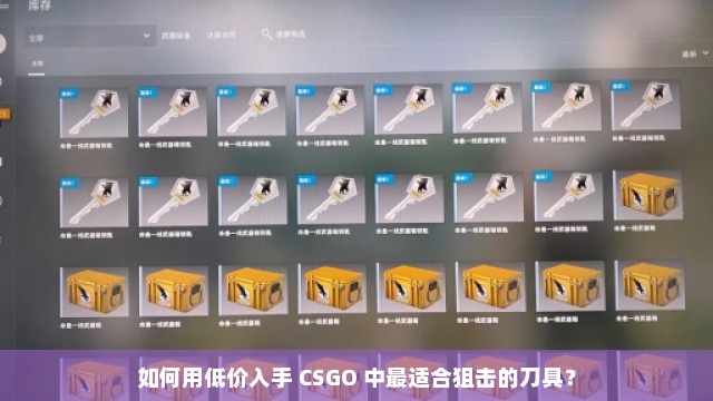 如何用低价入手 CSGO 中最适合狙击的刀具？