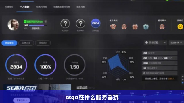 csgo在什么服务器玩