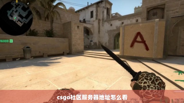 csgo社区服务器地址怎么看