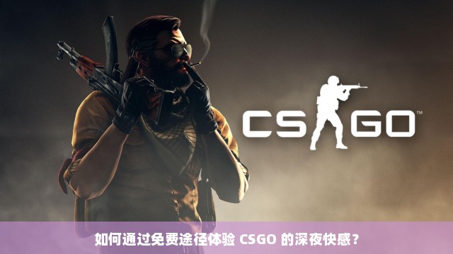 如何通过免费途径体验 CSGO 的深夜快感？