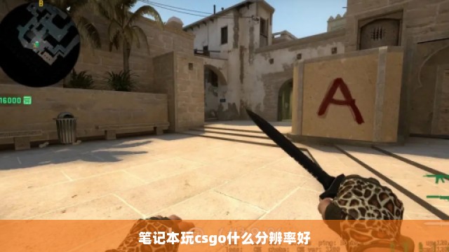 笔记本玩csgo什么分辨率好