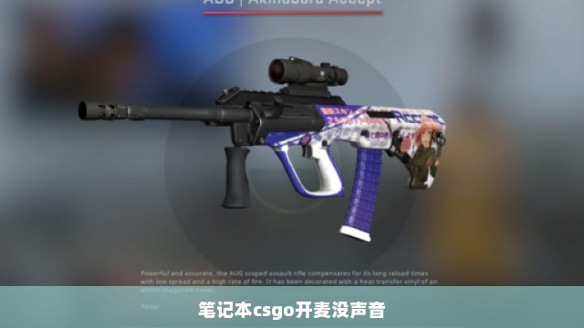 笔记本csgo开麦没声音