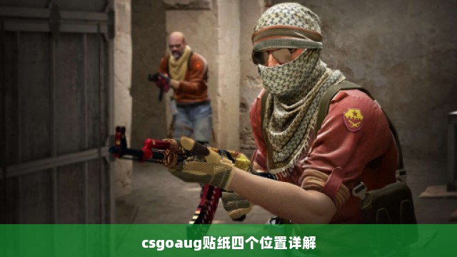 csgoaug贴纸四个位置详解