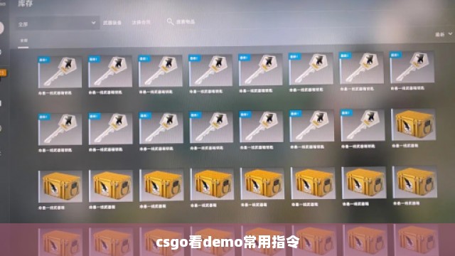 csgo看demo常用指令