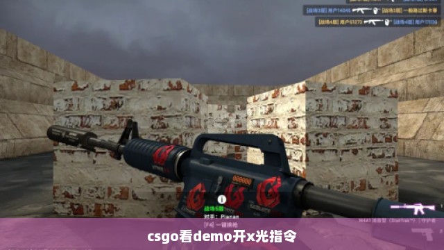 csgo看demo开x光指令