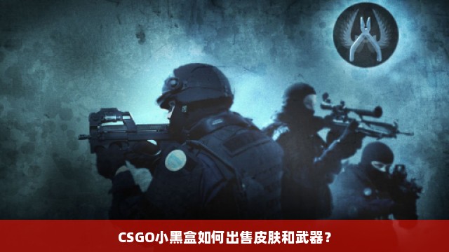 CSGO小黑盒如何出售皮肤和武器？