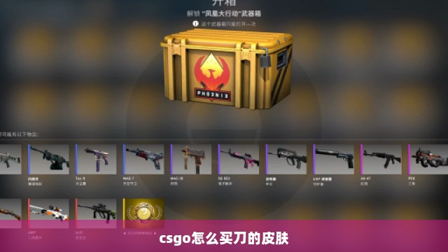 csgo怎么买刀的皮肤