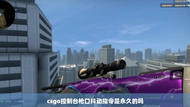 csgo控制台枪口抖动指令是永久的吗