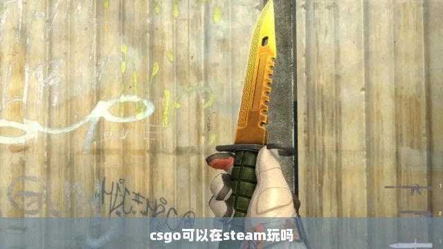 csgo可以在steam玩吗