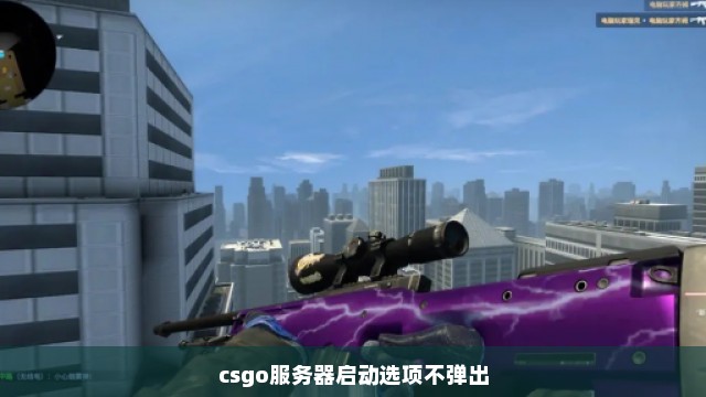 csgo服务器启动选项不弹出