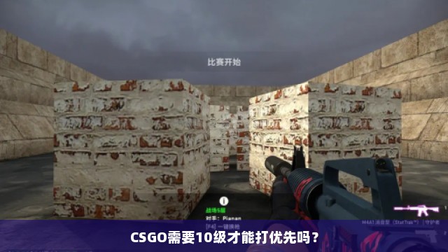 CSGO需要10级才能打优先吗？