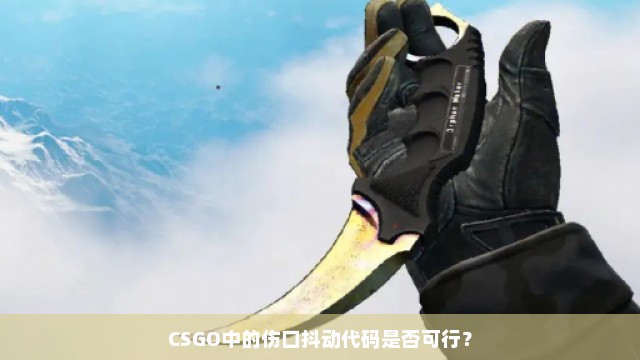 CSGO中的伤口抖动代码是否可行？