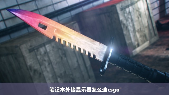 笔记本外接显示器怎么选csgo