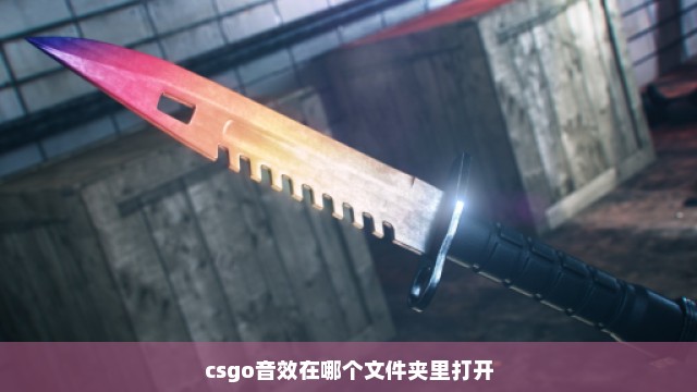 csgo音效在哪个文件夹里打开