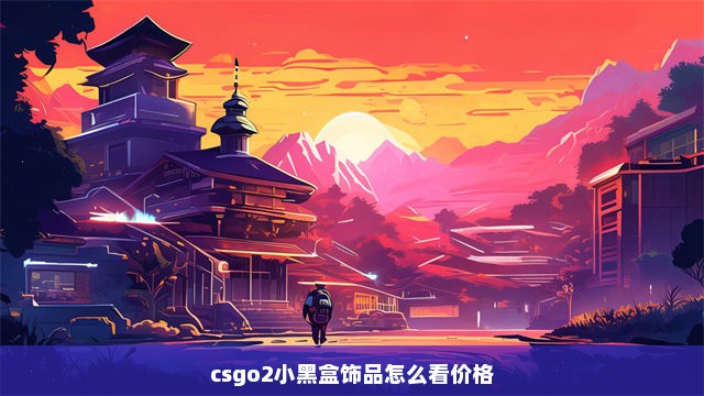 csgo2小黑盒饰品怎么看价格