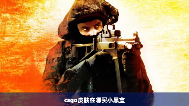 csgo皮肤在哪买小黑盒