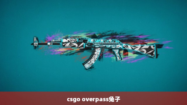 csgo overpass兔子