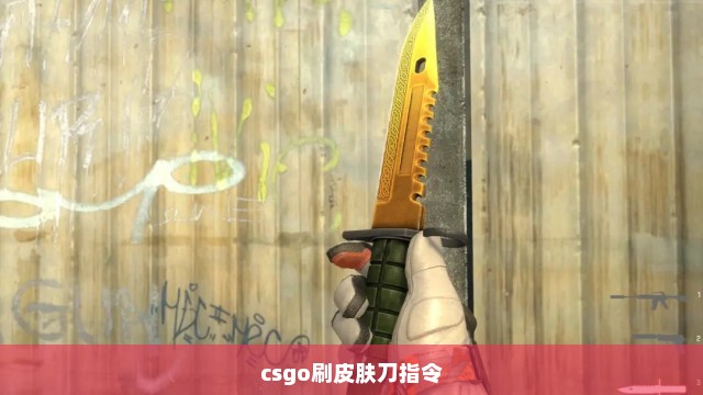 csgo刷皮肤刀指令