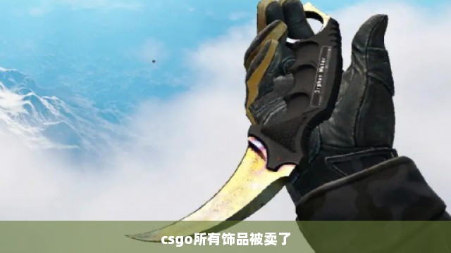 csgo所有饰品被卖了