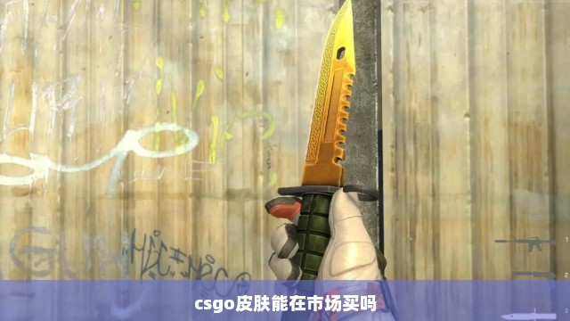 csgo皮肤能在市场买吗