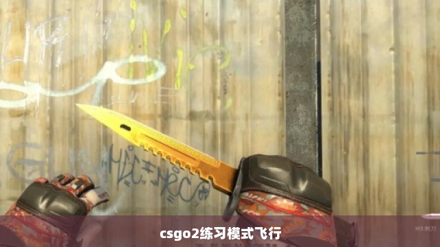 csgo2练习模式飞行