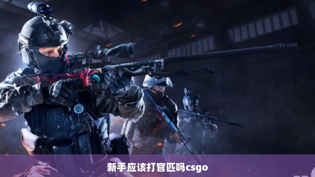 新手应该打官匹吗csgo