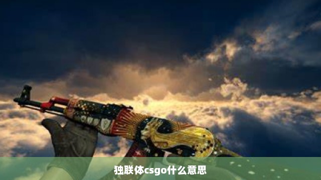 独联体csgo什么意思