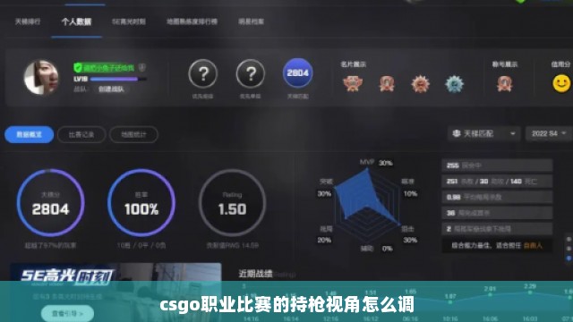 csgo职业比赛的持枪视角怎么调