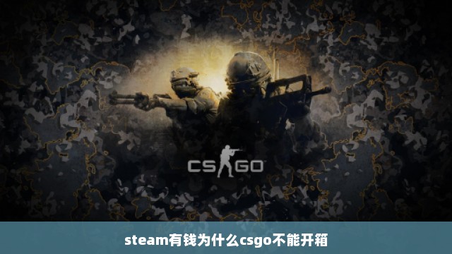 steam有钱为什么csgo不能开箱