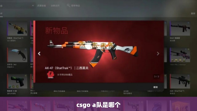 csgo a队是哪个