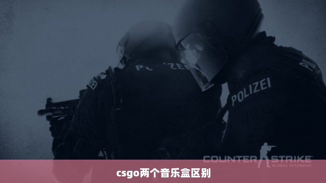 csgo两个音乐盒区别