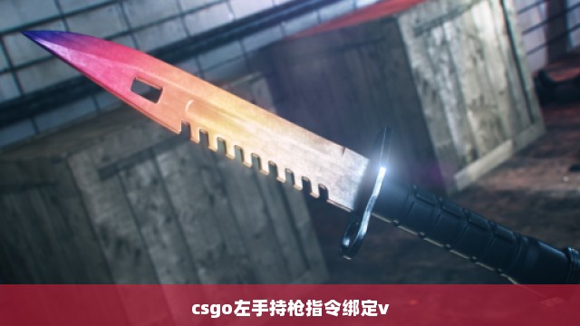 csgo左手持枪指令绑定v