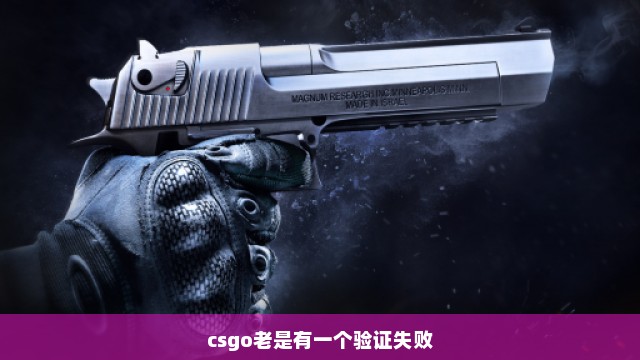 csgo老是有一个验证失败