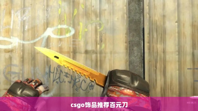 csgo饰品推荐百元刀