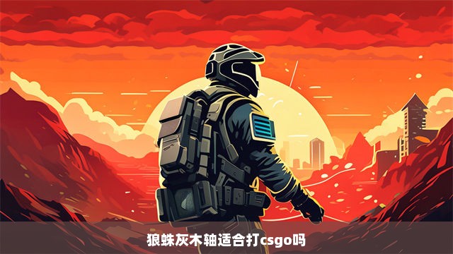 狼蛛灰木轴适合打csgo吗