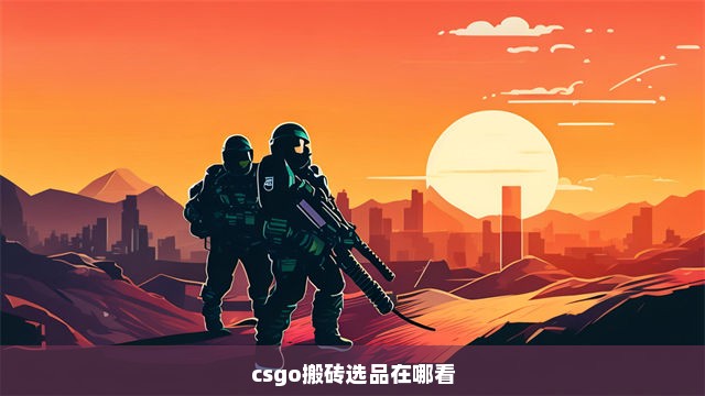 csgo搬砖选品在哪看