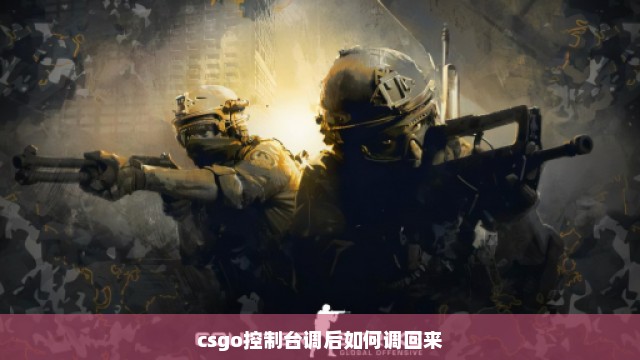 csgo控制台调后如何调回来