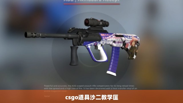 csgo道具沙二教学匪