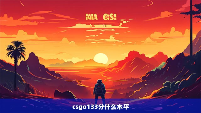 csgo133分什么水平