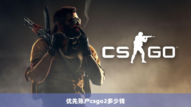 优先账户csgo2多少钱