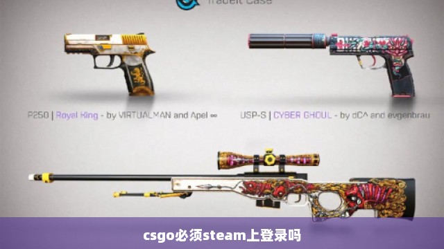 csgo必须steam上登录吗