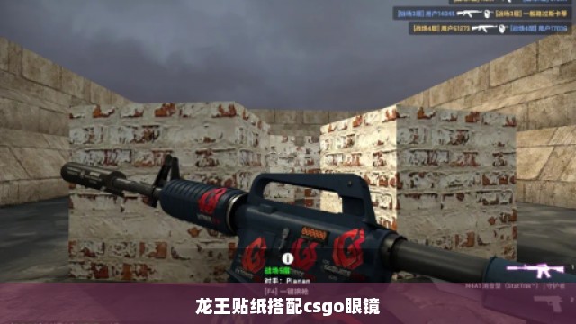 龙王贴纸搭配csgo眼镜