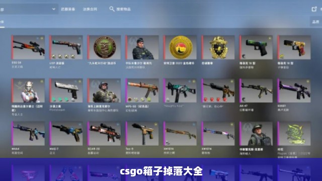 csgo箱子掉落大全