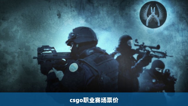 csgo职业赛场票价